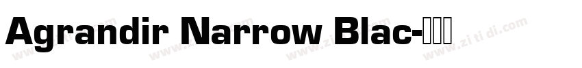Agrandir Narrow Blac字体转换